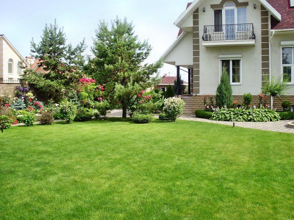 Дом или дача